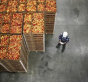 Food Industry